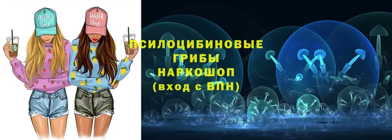 Галлюциногенные грибы Magic Shrooms  Орлов 